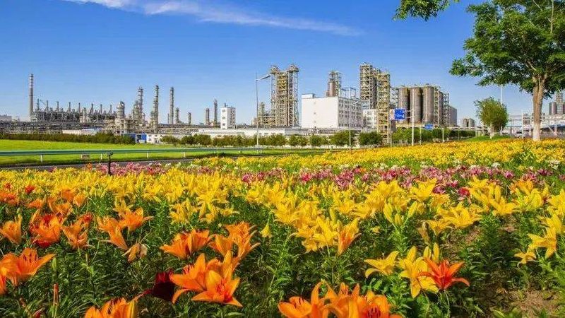 塑料助剂与母料：本质区别及选型要点